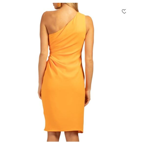 NWT Trina Turk Poem Asymmetric Knee Length Dress - Size 8 - Picture 3 of 9